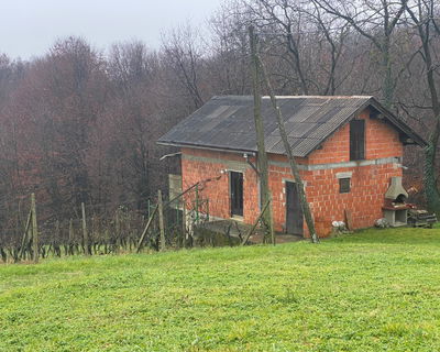 Lokacija: Podravska, Ormož, Senešci