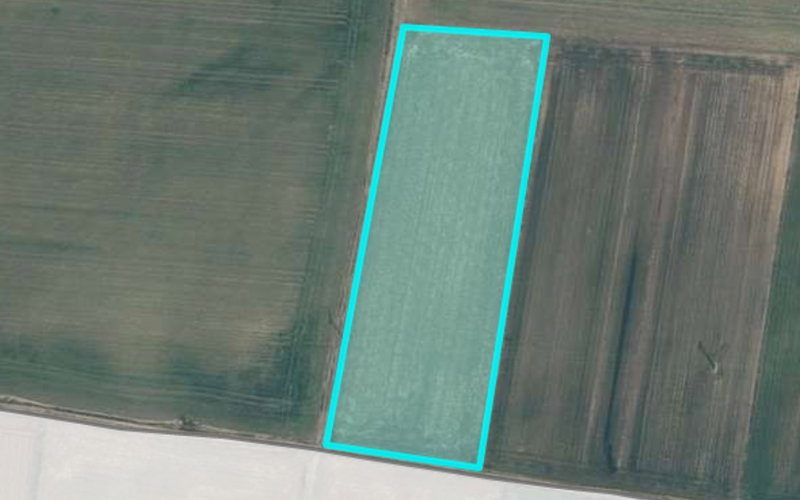 Location: Podravska, Dornava, Dornava
