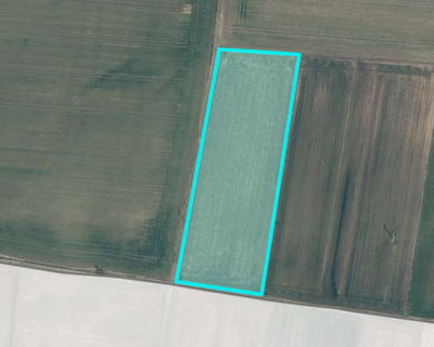 Location: Podravska, Dornava, Dornava