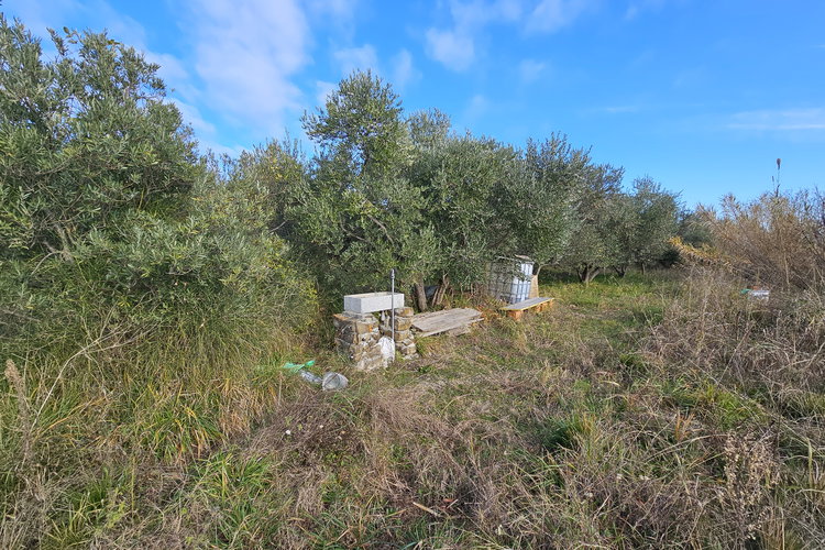 Lokacija: Obalno - kraška, Koper, Gažon
