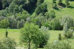 Ubicación: Goriška, Tolmin, Idrija pri Bači