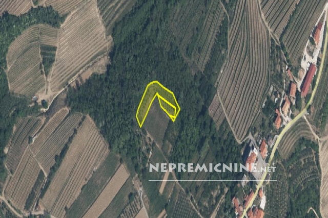 Lokacija: Goriška, Brda, Kozana