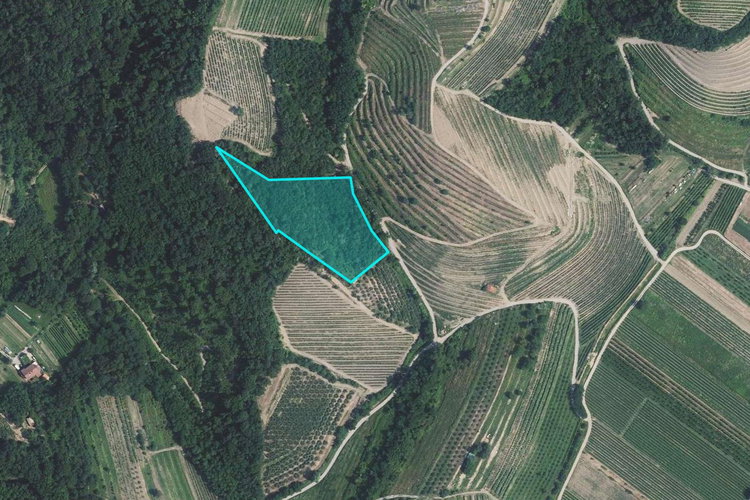 Location: Goriška, Nova Gorica, Prvačina