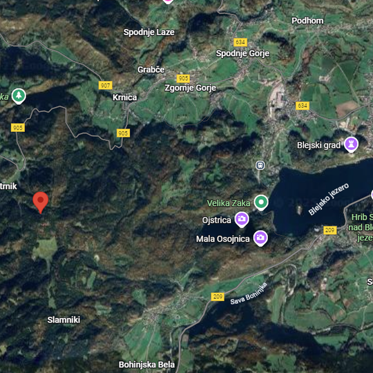 Nepremičnina: Prodaja, Parcela, Kmetijska površina Lokacija: Gorenjska, Gorje, Zgornje Gorje