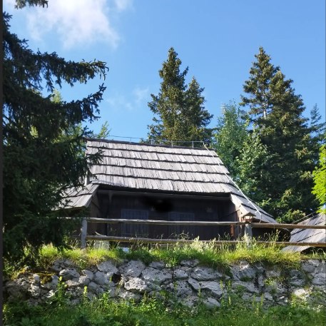 Lokacija: Ljubljana okolica, Kamnik, Velika Planina