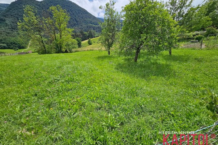 Lokacija: Savinjska, Celje, Celje