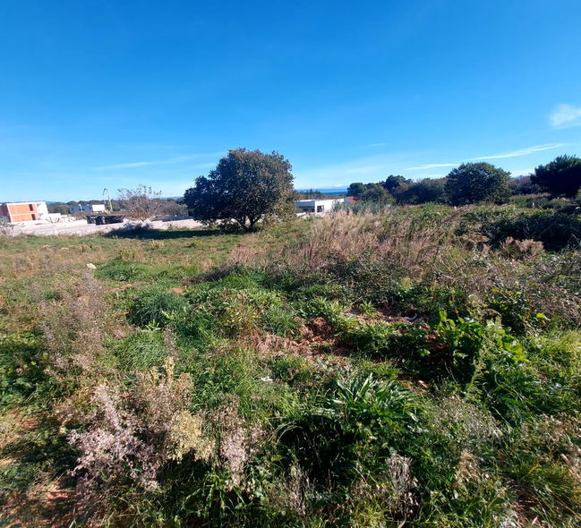 Lokacija: Hrvaška, Istarska županija, Ližnjan