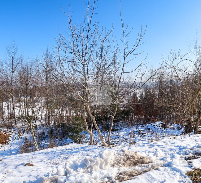 Location: Ljubljana Surroundings, Škofljica, Smrjene