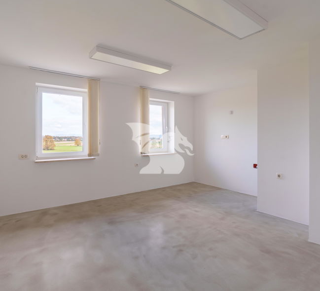 Location: Ljubljana Surroundings, Dobrova - Polhov Gradec, Podsmreka