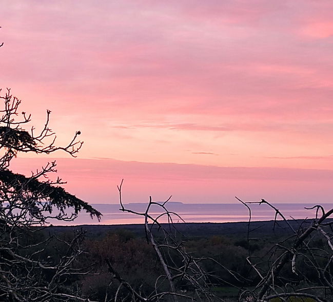 Location: Hrvaška, Istarska županija, Ližnjan, Valtura