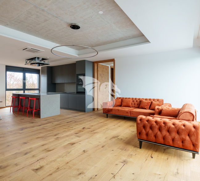 Location: Ljubljana, Vič-Rudnik, Vič