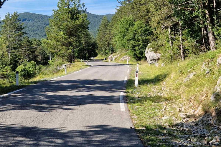 Lokacija: Obalno - kraška, Hrpelje - Kozina, Golac