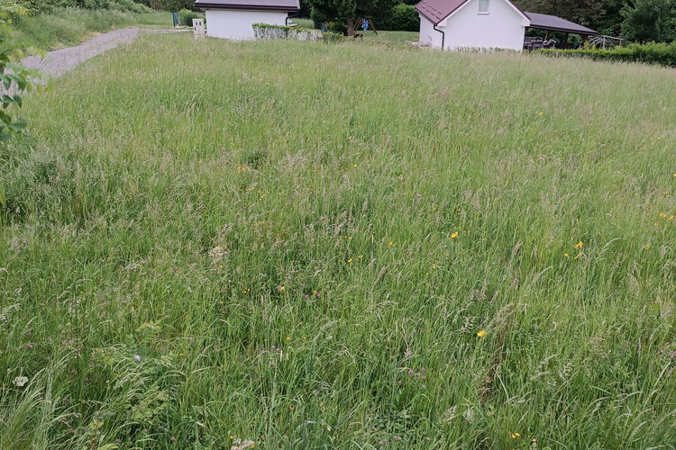 Location: Podravska, Lenart, Nadbišec
