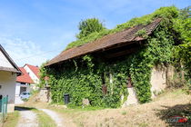 Lokacija: Jugovzhodna Slovenija, Metlika, Metlika