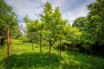 Lokacija: Jugovzhodna Slovenija, Črnomelj, Mavrlen