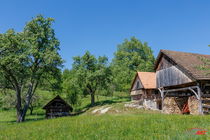 Location: Southeast Slovenia, Črnomelj, Preloka