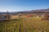 Lokacija: Jugovzhodna Slovenija, Semič, Praproče