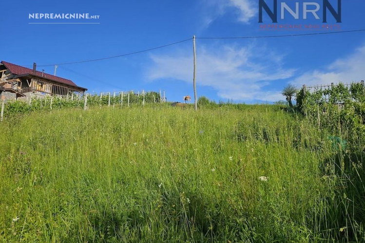 Lokacija: Jugovzhodna Slovenija, Dolenjske Toplice, Veliki Rigelj