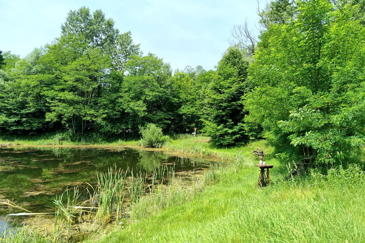 Location: Pomurska, Razkrižje, Šafarsko
