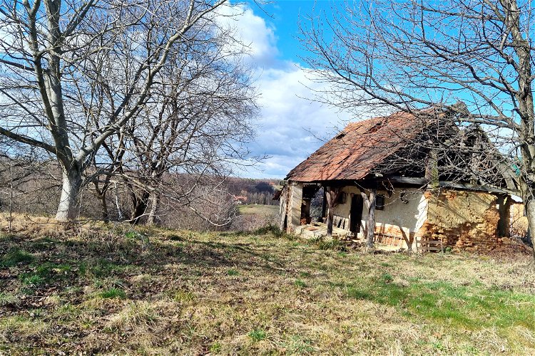 Lokacija: Pomurska, Ljutomer, Drakovci