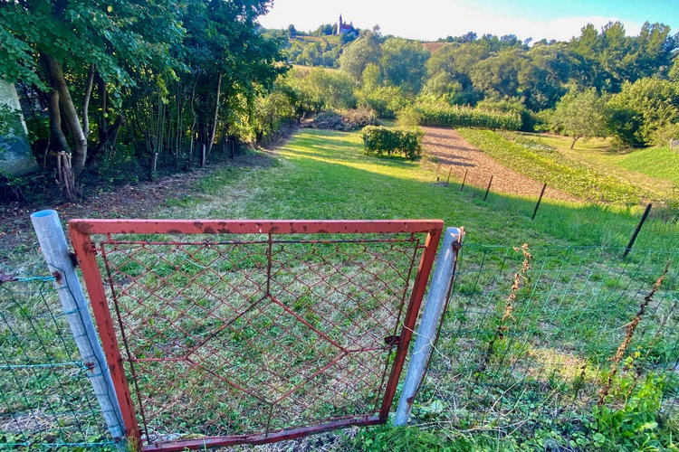 Location: Podravska, Poljčane, Studenice
