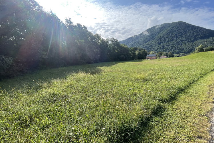 Location: Podravska, Poljčane, Brezje pri Poljčanah