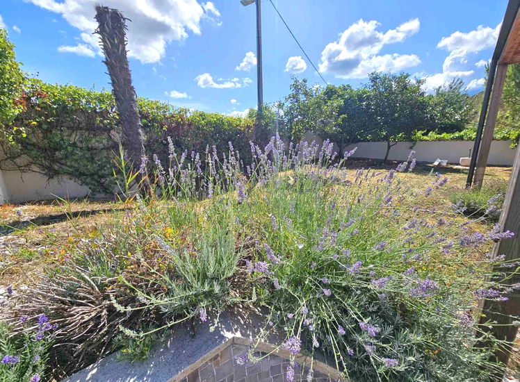 Lokacija: Obalno - kraška, Izola, Malija