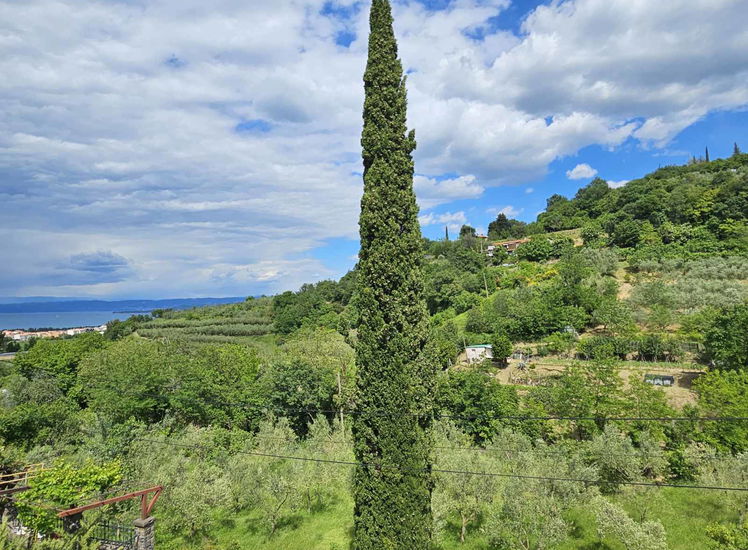 Lokacija: Obalno - kraška, Izola, Livade