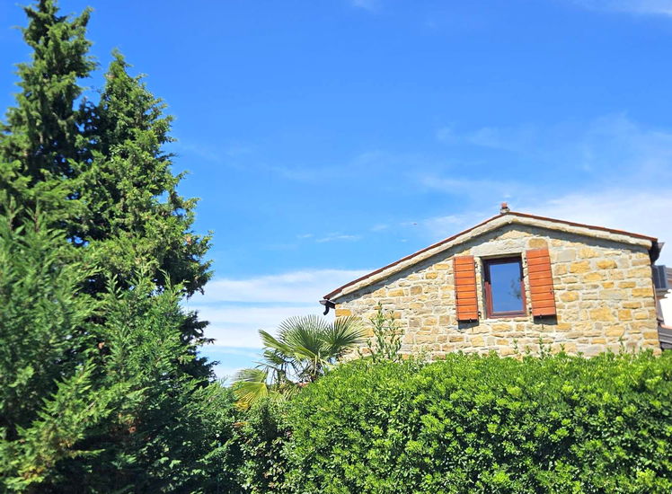 Lokacija: Obalno - kraška, Piran, Sv. Peter