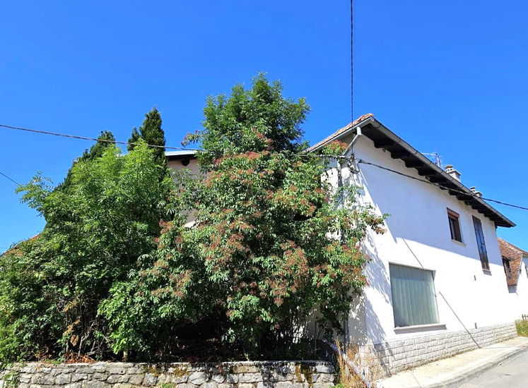 Lokacija: Notranjsko - kraška, Pivka, Pivka