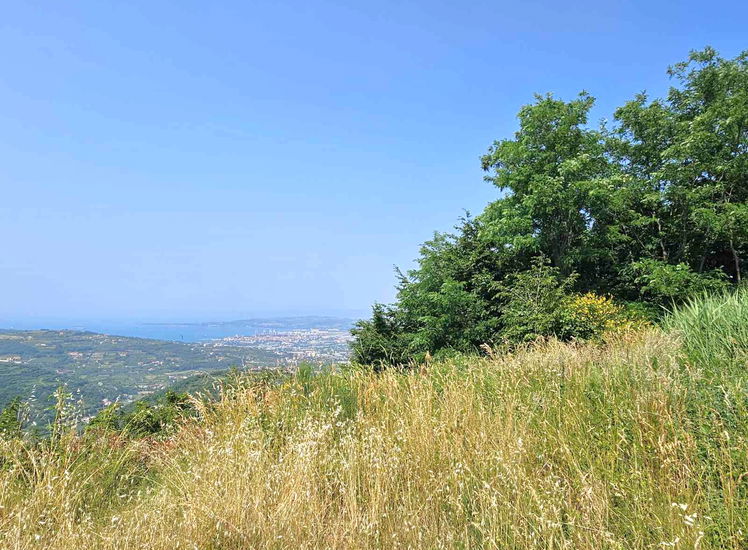 Lokacija: Obalno - kraška, Koper, Šmarje