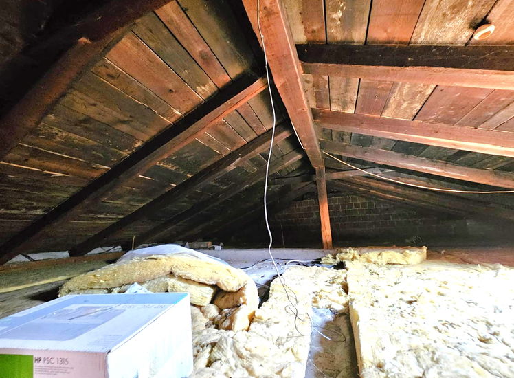 Lokacija: Notranjsko - kraška, Pivka, Pivka