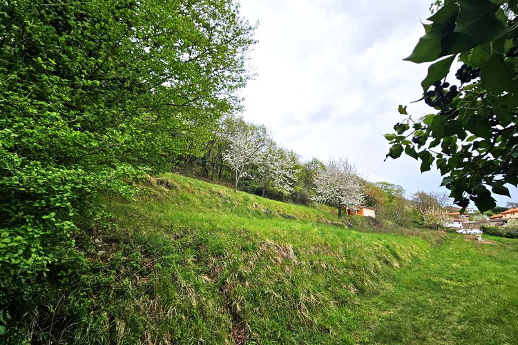 Lokacija: Obalno - kraška, Hrpelje - Kozina, Prešnica