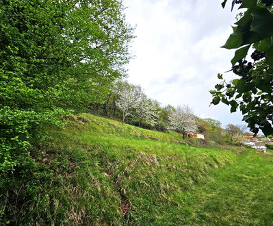 Lokacija: Obalno - kraška, Hrpelje - Kozina, Prešnica