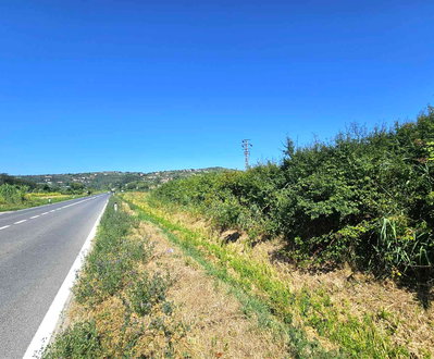 Lokacija: Obalno - kraška, Piran, Sečovlje
