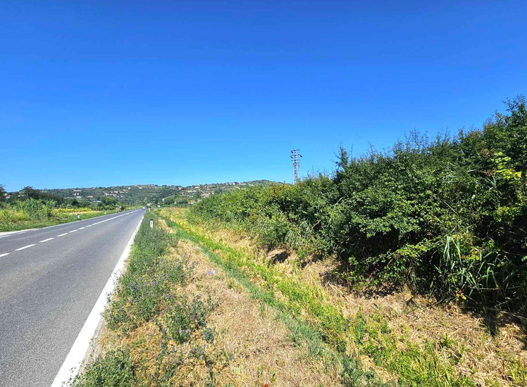 Lokacija: Obalno - kraška, Piran, Sečovlje