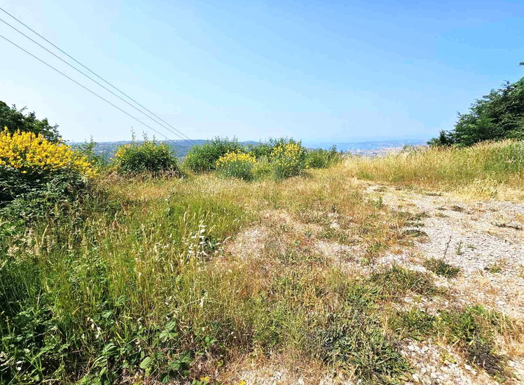 Lokacija: Obalno - kraška, Koper, Šmarje