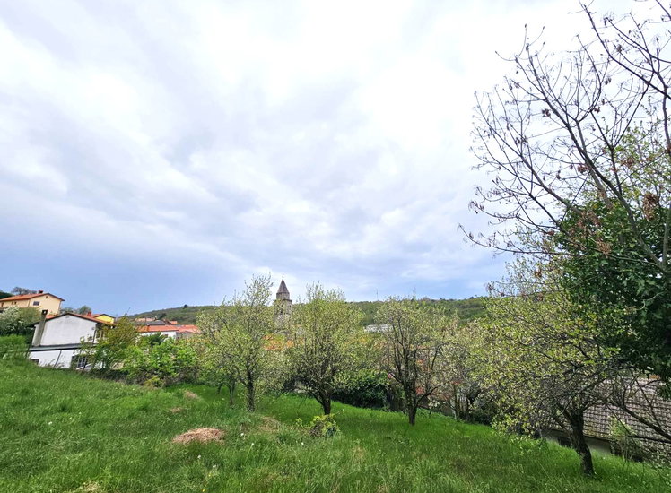 Lokacija: Obalno - kraška, Hrpelje - Kozina, Prešnica