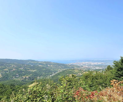 Lokacija: Obalno - kraška, Koper, Šmarje