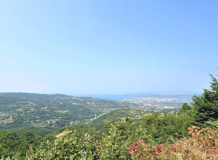 Lokacija: Obalno - kraška, Koper, Šmarje