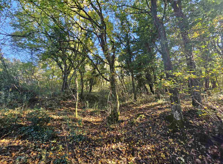 Lokacija: Obalno - kraška, Koper, Spodnje Škofije