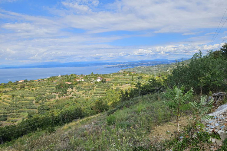 Lokacija: Obalno - kraška, Izola, Šared