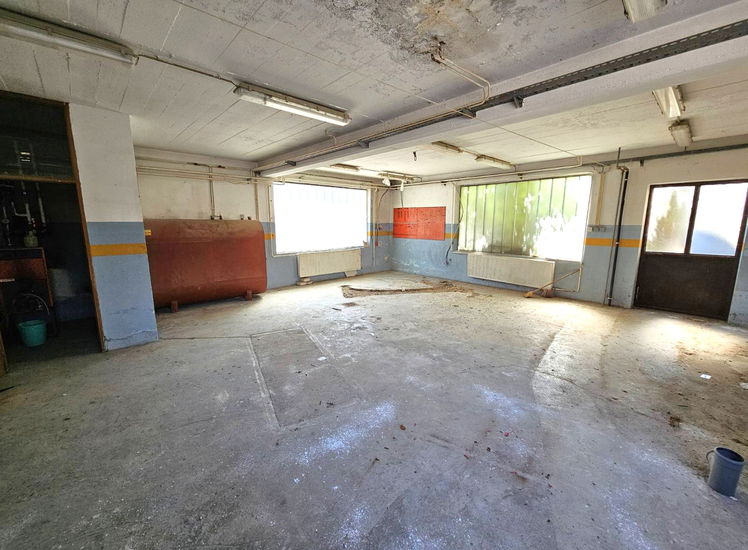 Lokacija: Notranjsko - kraška, Pivka, Pivka