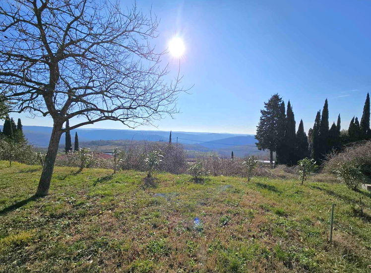 Lokacija: Obalno - kraška, Izola, Šared