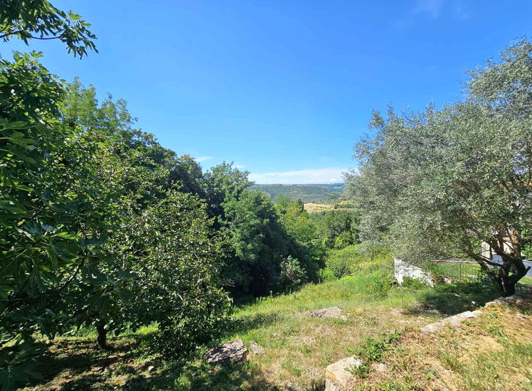 Lokacija: Obalno - kraška, Piran, Sv. Peter