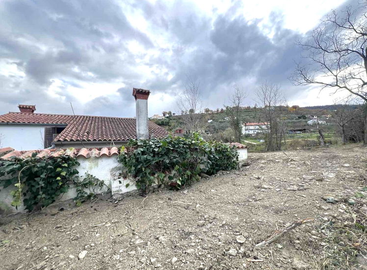 Lokacija: Obalno - kraška, Koper, Bošamarin