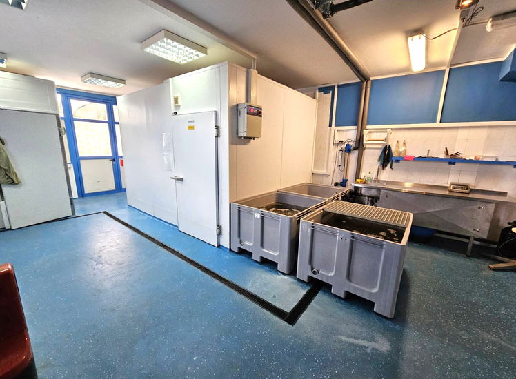 Lokacija: Obalno - kraška, Izola