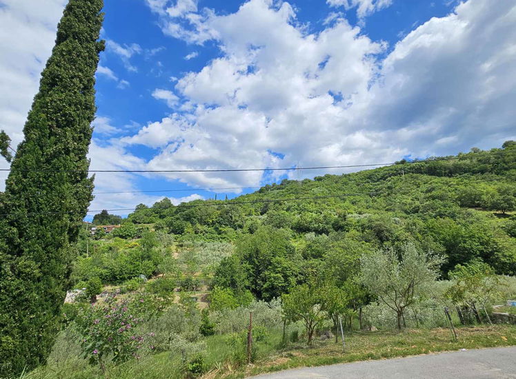 Lokacija: Obalno - kraška, Izola, Livade