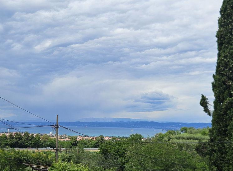 Lokacija: Obalno - kraška, Izola, Livade