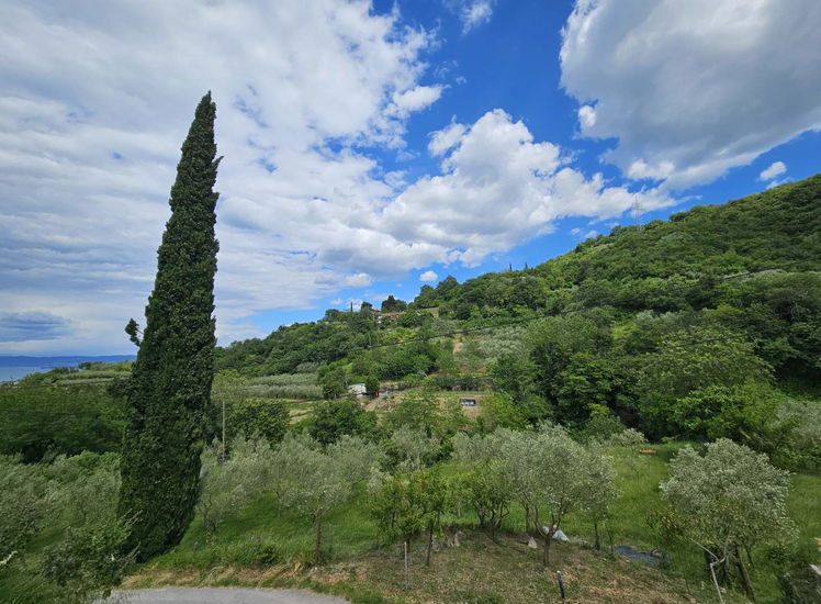 Lokacija: Obalno - kraška, Izola, Livade